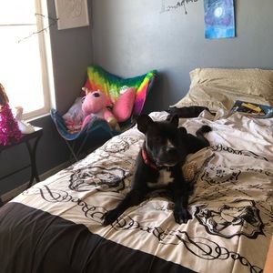 Meet your Posher, Deja